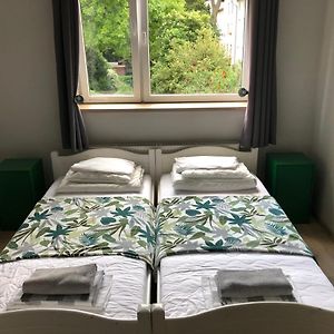 Uitgebreide Kamer met een King Size Bed
